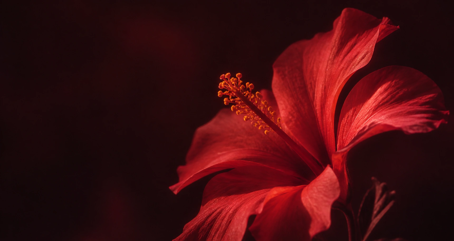 Healing inspired by EMDR